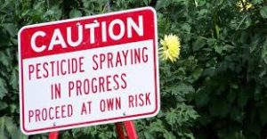 Farming GM Seeds From Monsanto Are Hurting World And Its Farmers