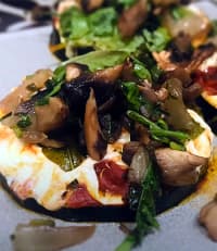 Vegan Health Consultant